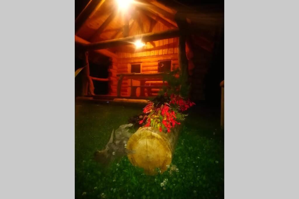 Hut At The Forest Male Brusnice エクステリア 写真