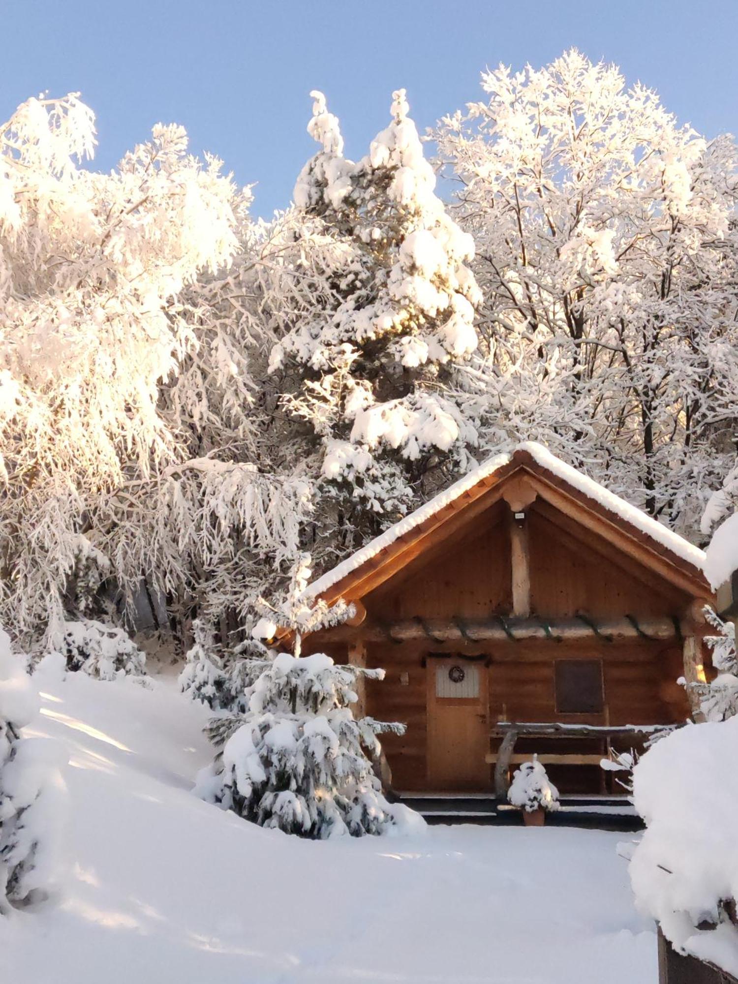 Hut At The Forest Male Brusnice エクステリア 写真